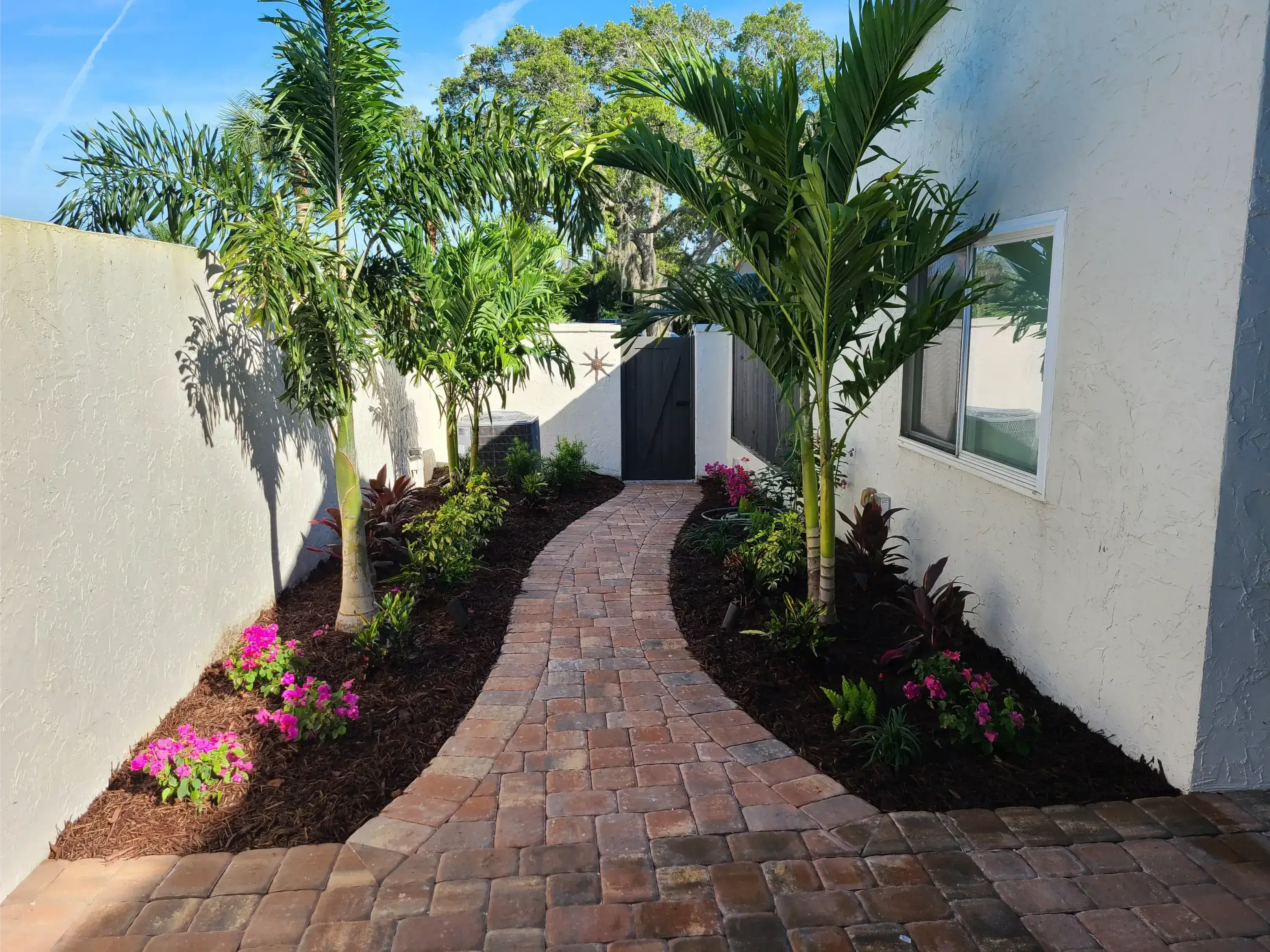 A curved brick pathway bordered by palm trees and flowering plants.