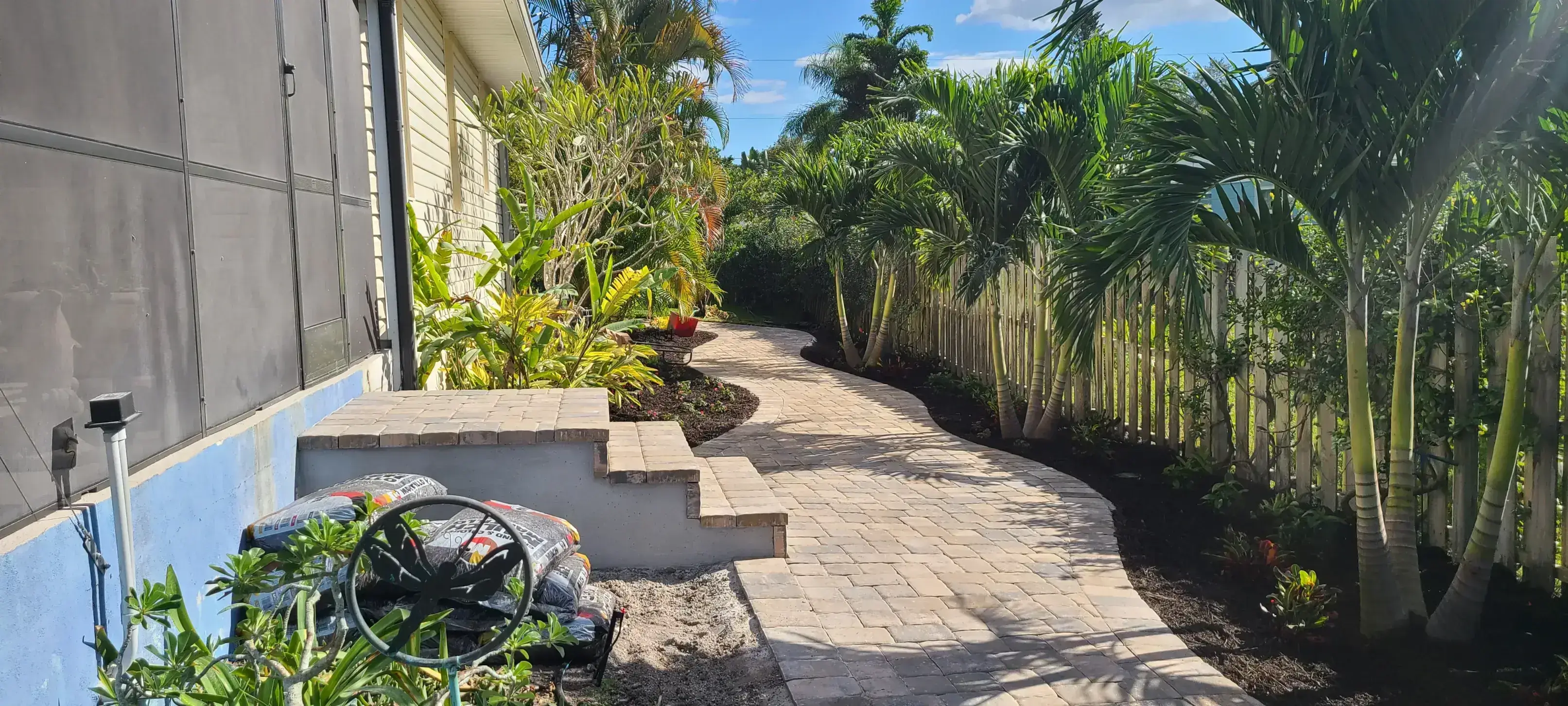 A sunny garden path lined with tropical plants and palm trees.
